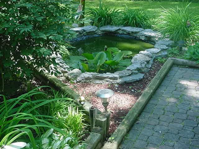 lil pond