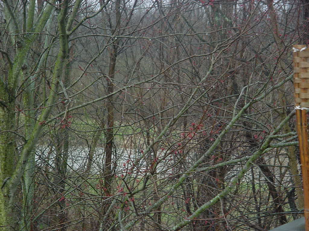 creek 3