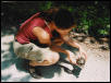 Turtle Rescue KY