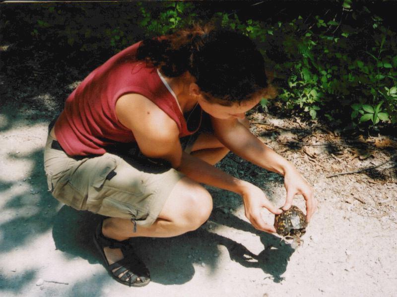 Turtle Rescue KY