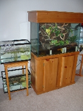 Aquarium Set Up