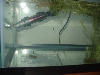 TadTank1