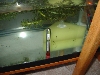 TadTank2