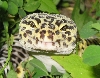 Outside close up