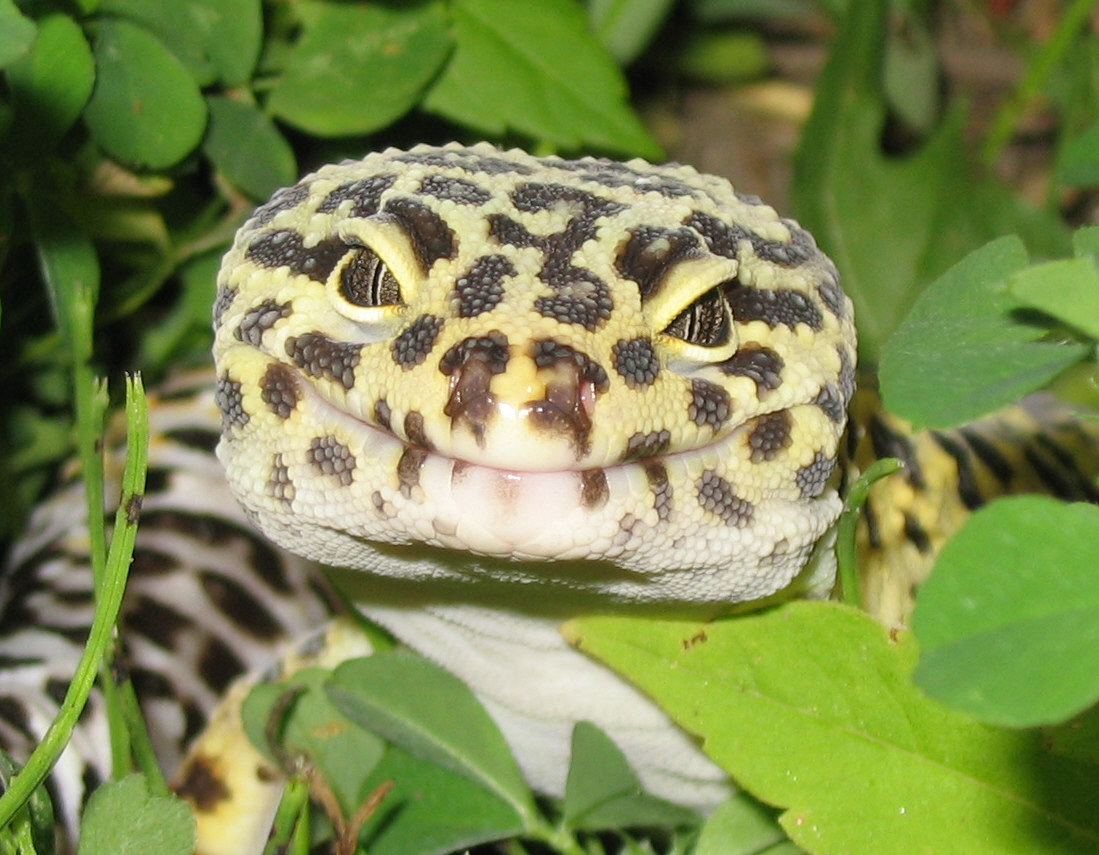 Outside close up
