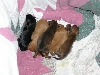 Emma at 2 days old