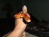 This is my Okeetee