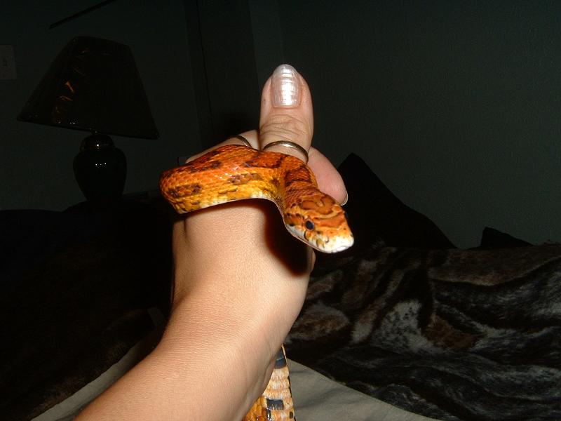 This is my Okeetee
