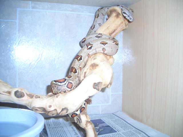 Hanging around