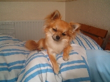 Posing While Asleep !