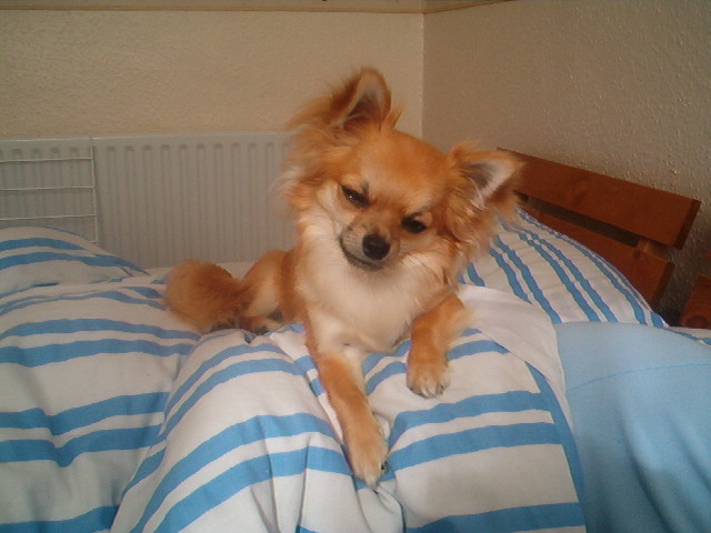 Posing While Asleep !