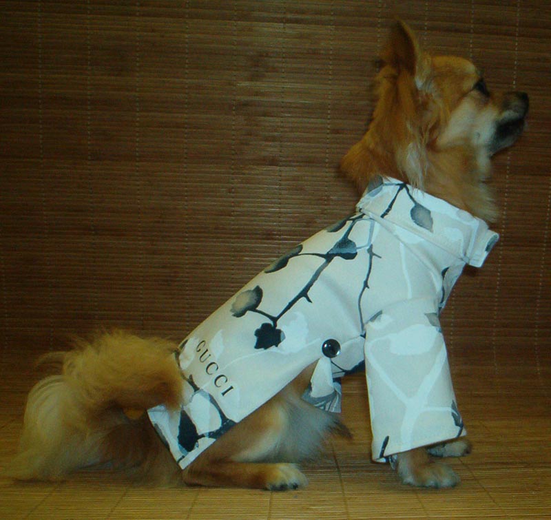 Chinese Dressed Poco !