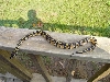 outside male 05
