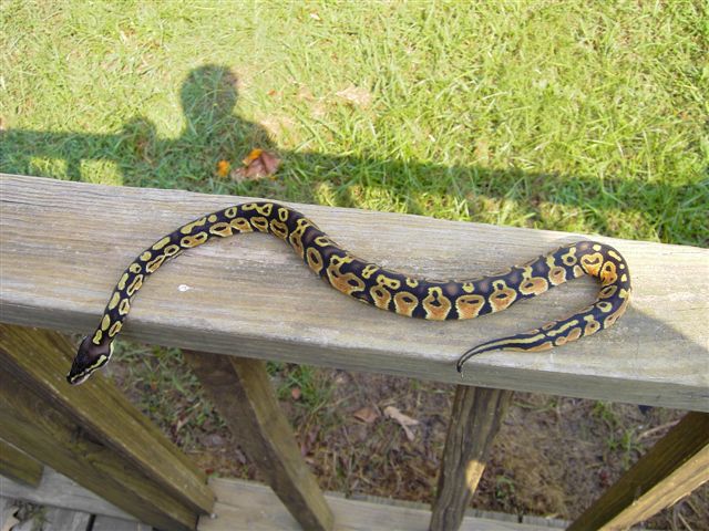 outside male 05