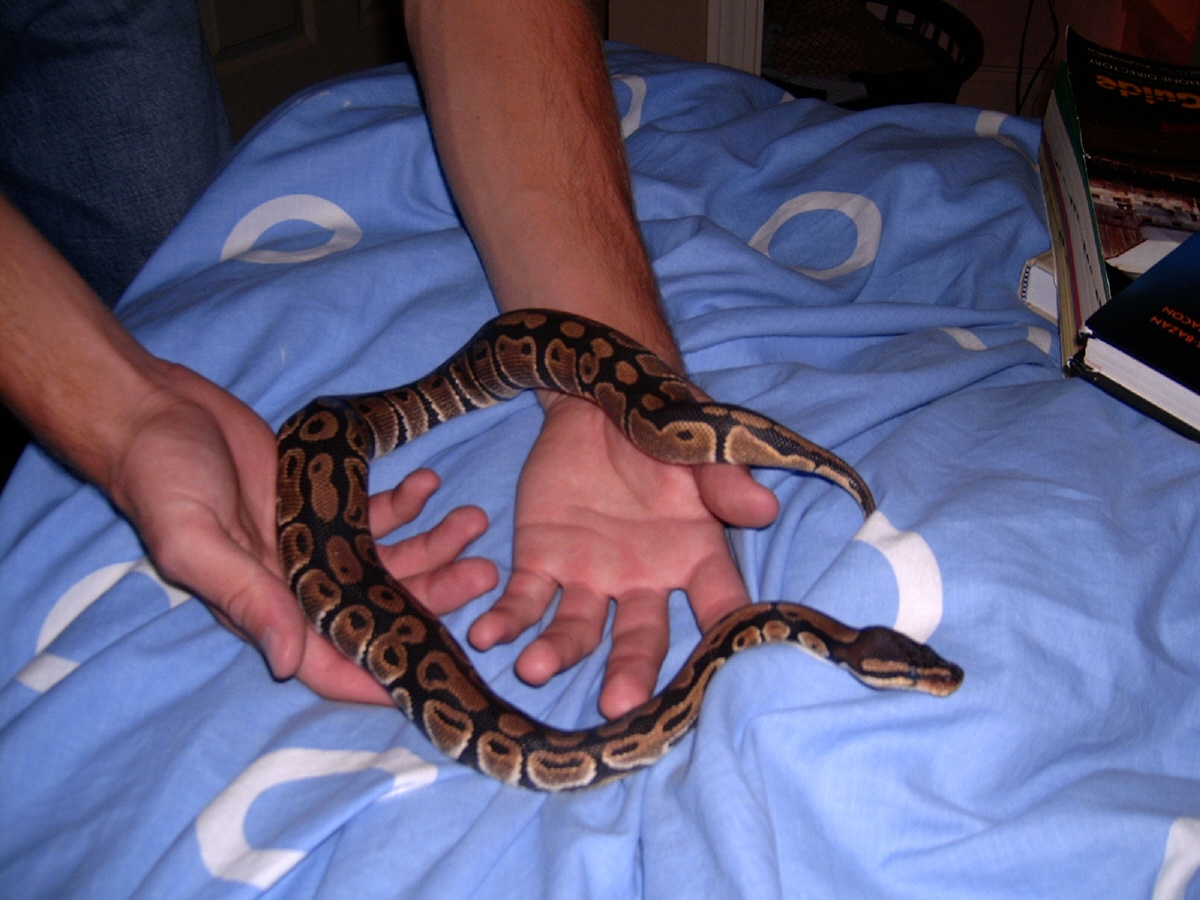 Annakiya