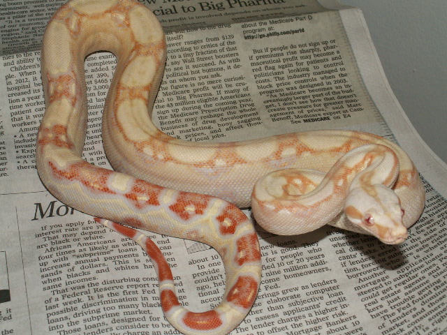 05 sharp male PIC 2