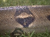 close up of side