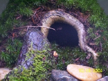 Hideout