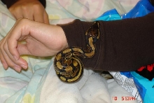 Snakey and Me