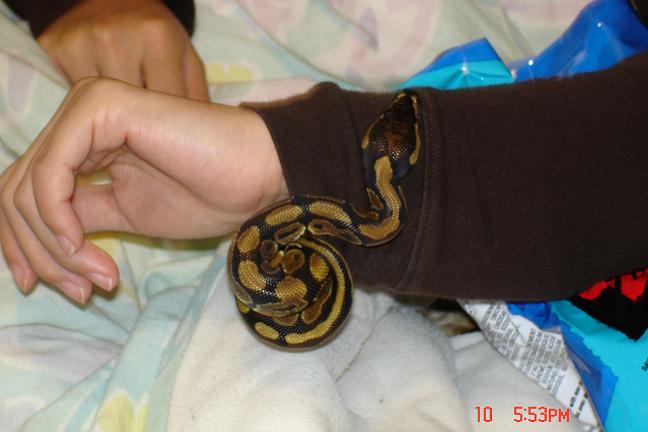 Snakey and Me