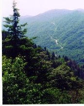 Smokey Mountains