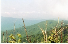 Veiw from Clingmon's Dome