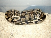 het albino female