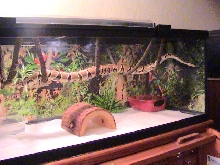 65GAL LONG W/LG VINES