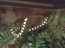 New Addition
