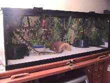 New Hides 65Gal. Long