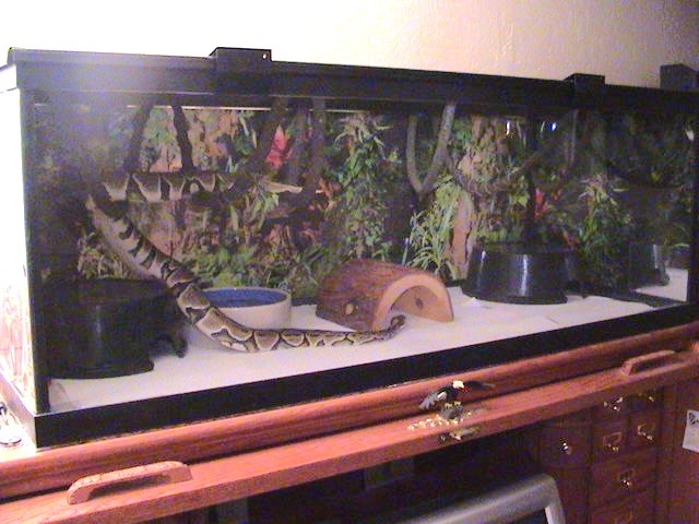 New Hides 65Gal. Long