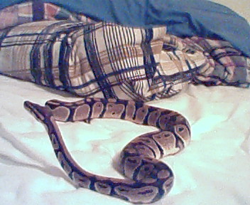 Shot of my big one