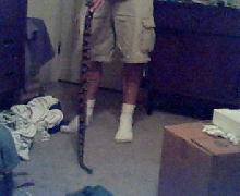 stretched out