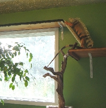 climbing higher
