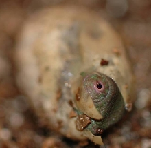 New Outlook on Life