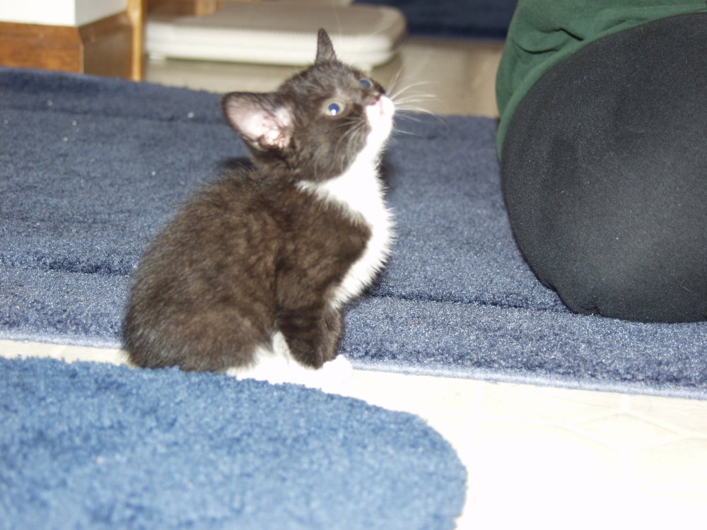 Chloe