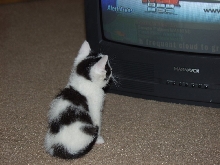 Clark watching TV