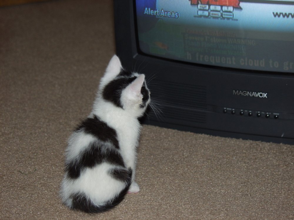 Clark watching TV