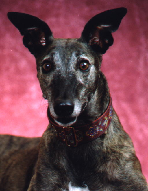 Jadzia