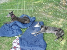 Girls in Exercise Pen