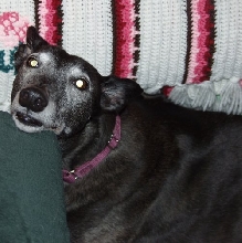 Jadzia
