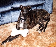 Young Kira