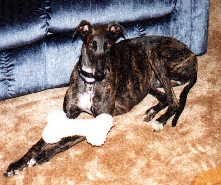 Young Kira
