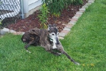 Kira Outside