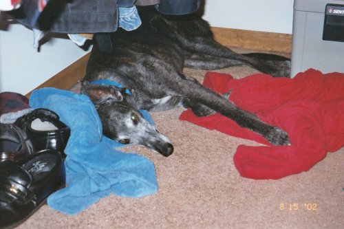 Lyta in Closet