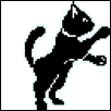 black cat gif