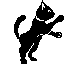 black cat gif
