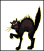scary black cat