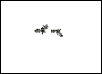 bats gif