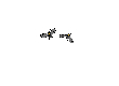 bats gif
